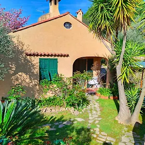 L'uliveto D'argento Bed & Breakfast
